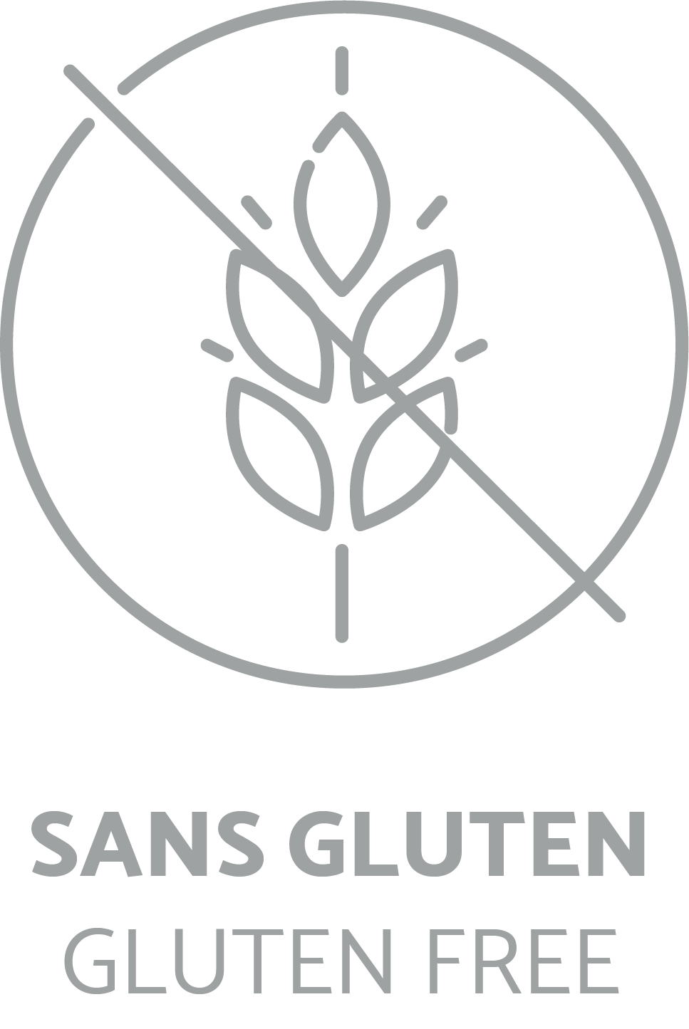 sans_gluten_BIG